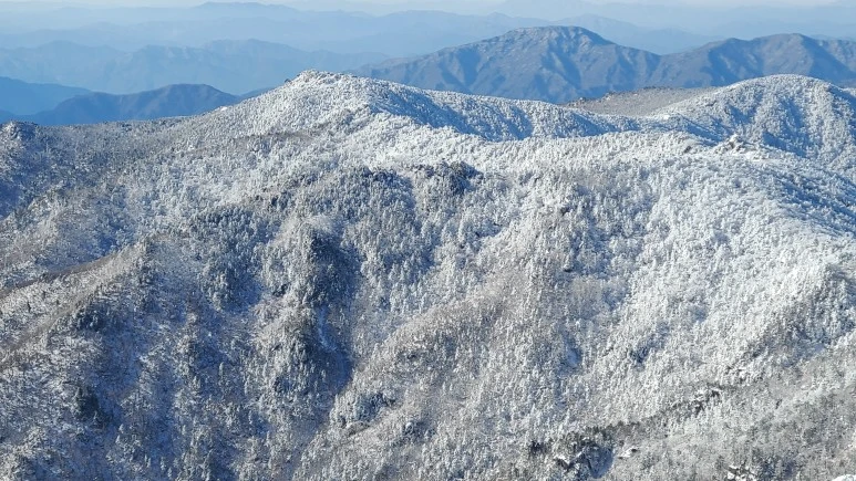 20231223_111127.jpg?type=w773