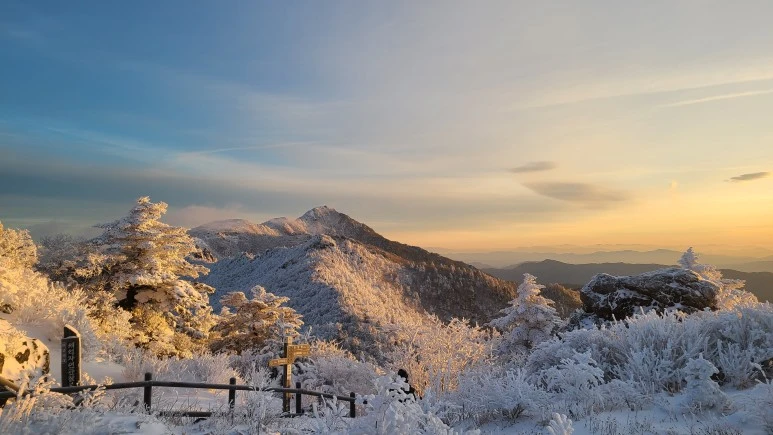 20231223_074758.jpg?type=w773