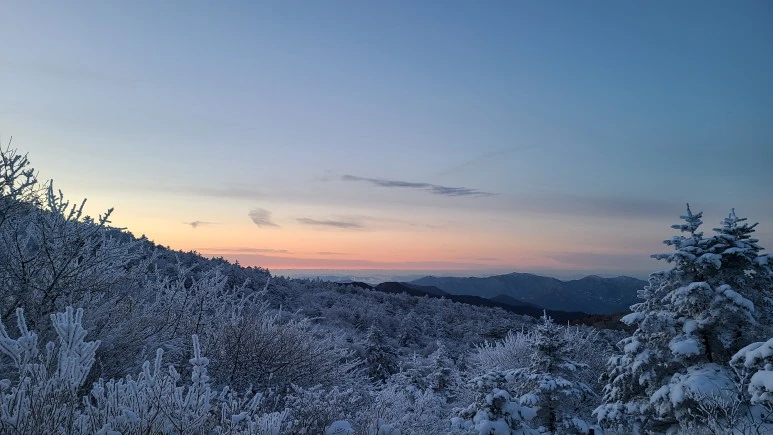 20231223_072550.jpg?type=w773