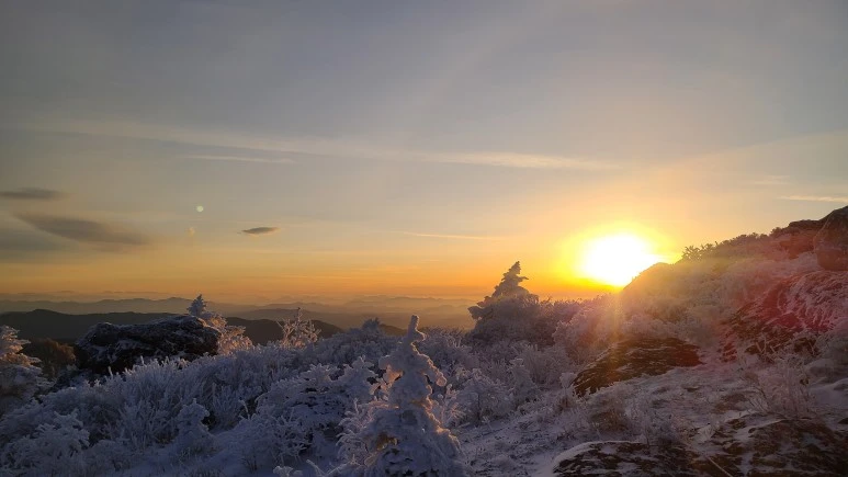 20231223_074825.jpg?type=w773