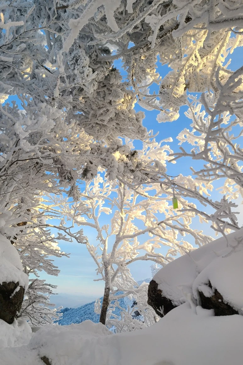 20231223_075757.jpg?type=w773