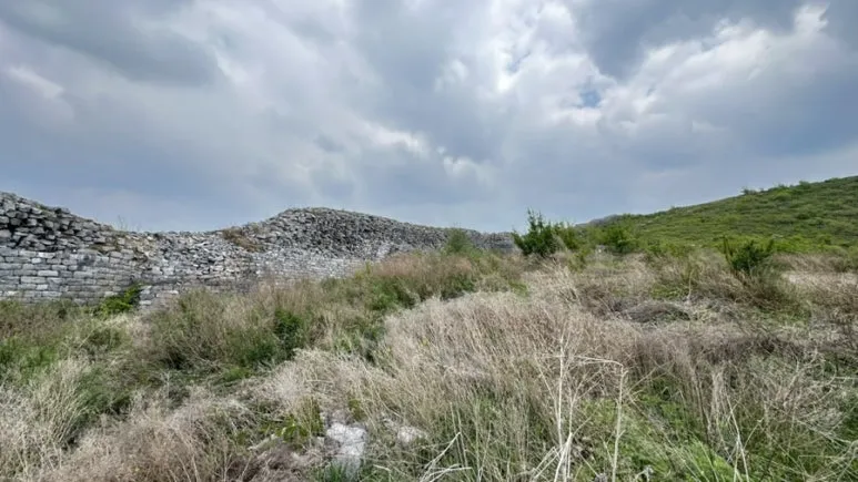 IMG%EF%BC%BF0373.jpg?type=w773