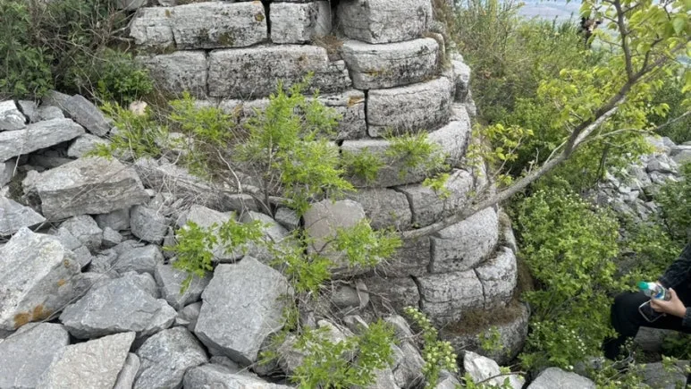 IMG%EF%BC%BF0398.jpg?type=w773