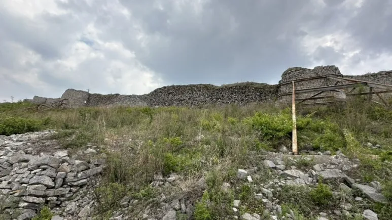 IMG%EF%BC%BF0391.jpg?type=w773