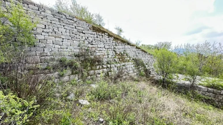 IMG%EF%BC%BF0371.jpg?type=w773