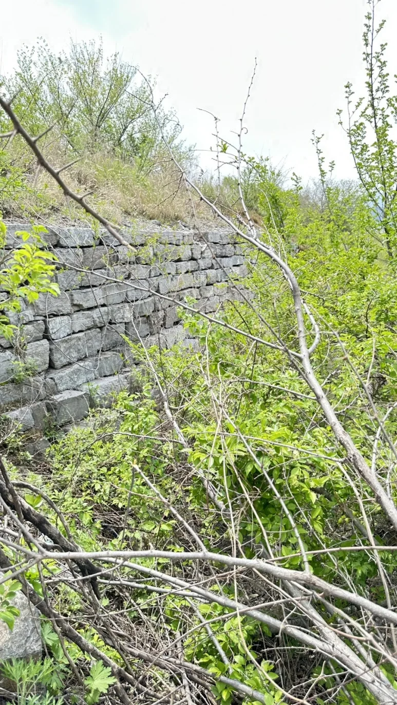 IMG%EF%BC%BF0367.jpg?type=w773