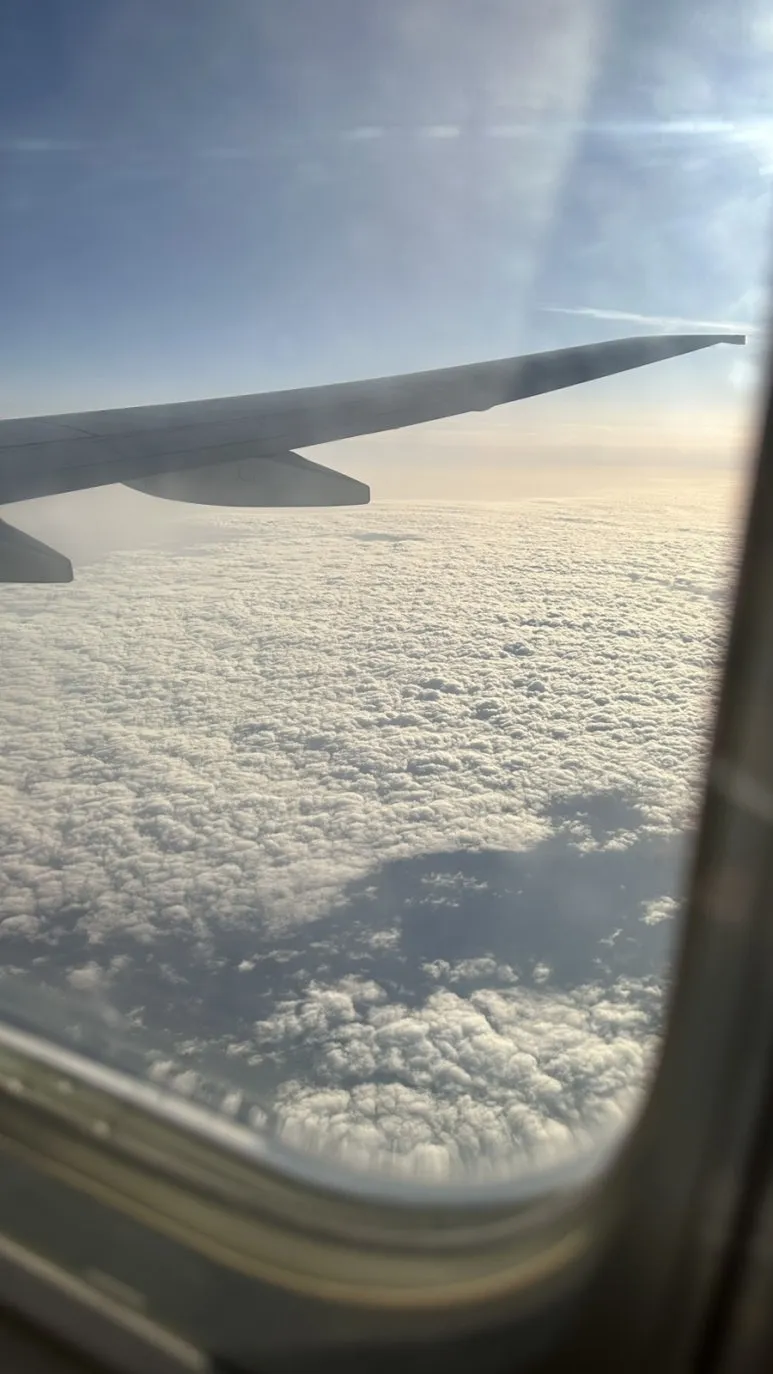 IMG%EF%BC%BF0431.jpg?type=w773