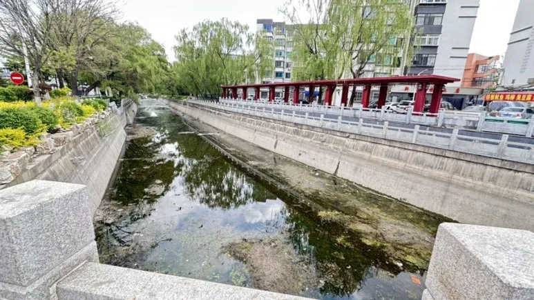 IMG%EF%BC%BF0348.jpg?type=w773