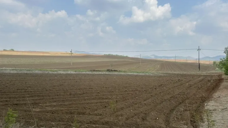 IMG%EF%BC%BF0425.jpg?type=w773