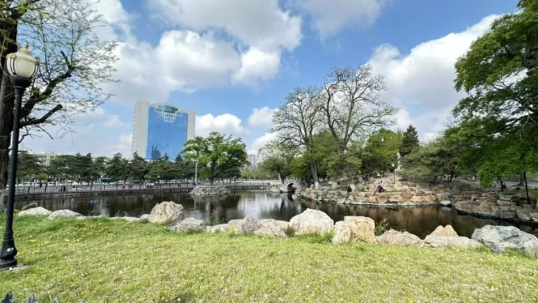 IMG%EF%BC%BF0346.jpg?type=w773