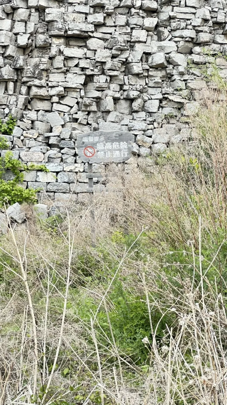 IMG%EF%BC%BF0378.jpg?type=w773