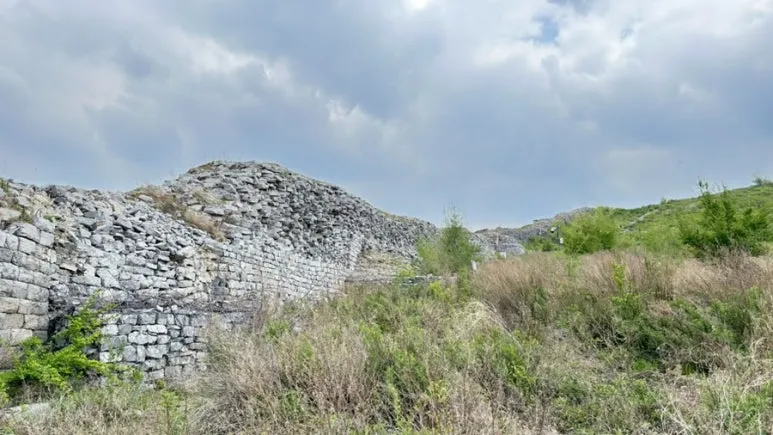 IMG%EF%BC%BF0375.jpg?type=w773