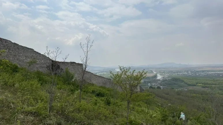 IMG%EF%BC%BF0414.jpg?type=w773