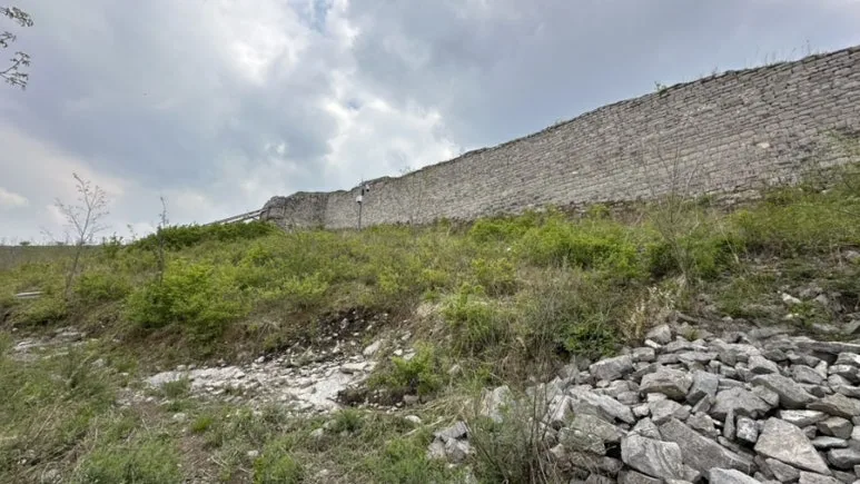 IMG%EF%BC%BF0389.jpg?type=w773