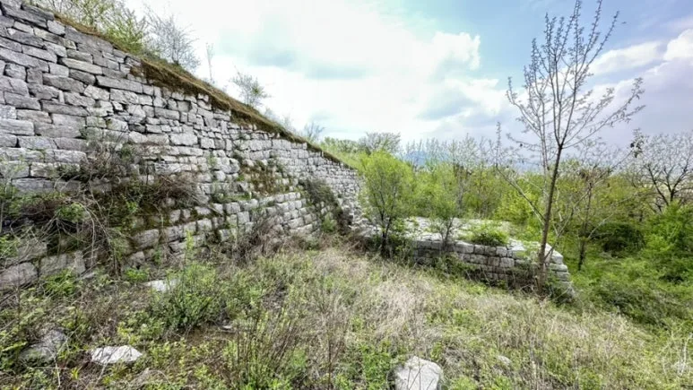 IMG%EF%BC%BF0372.jpg?type=w773