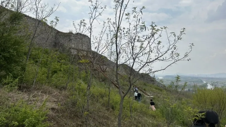 IMG%EF%BC%BF0415.jpg?type=w773