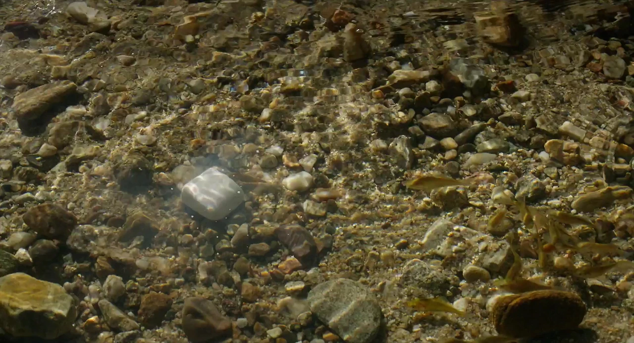 페인 앤 글로리 Dolor y gloria, Pain and Glory.2019.1080p.KOR.FHDRip.H264.AAC-RTM[(004733)2020-07-14-16-39-14].JPG