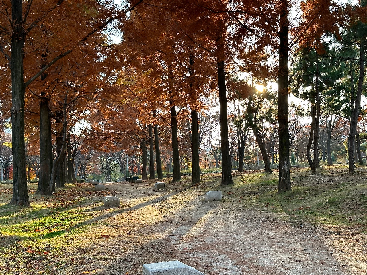 KakaoTalk_Photo_2022-11-17-23-53-25 001.jpeg