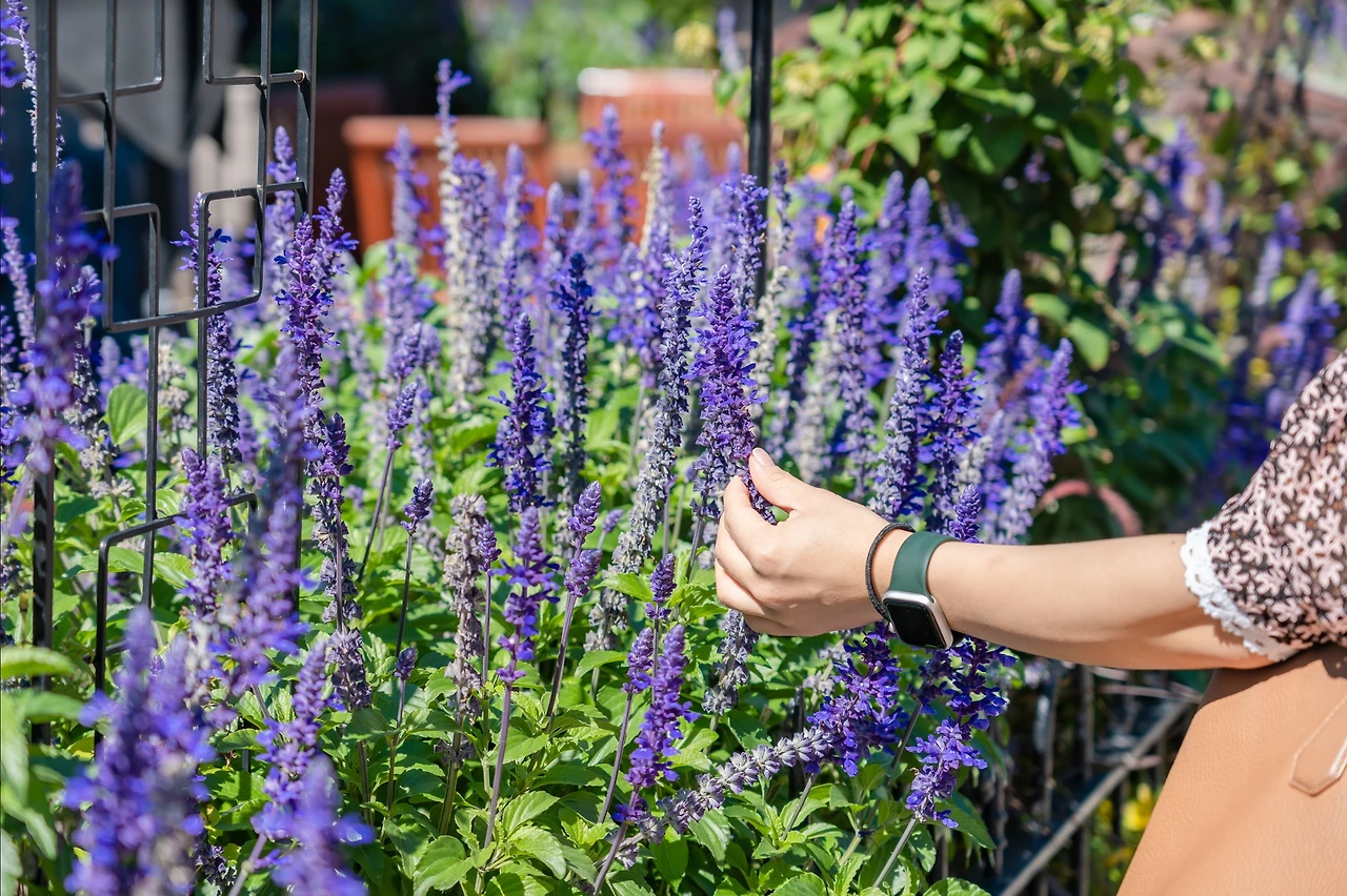 Screenshot 2022-10-28 at 13.53.57.JPG