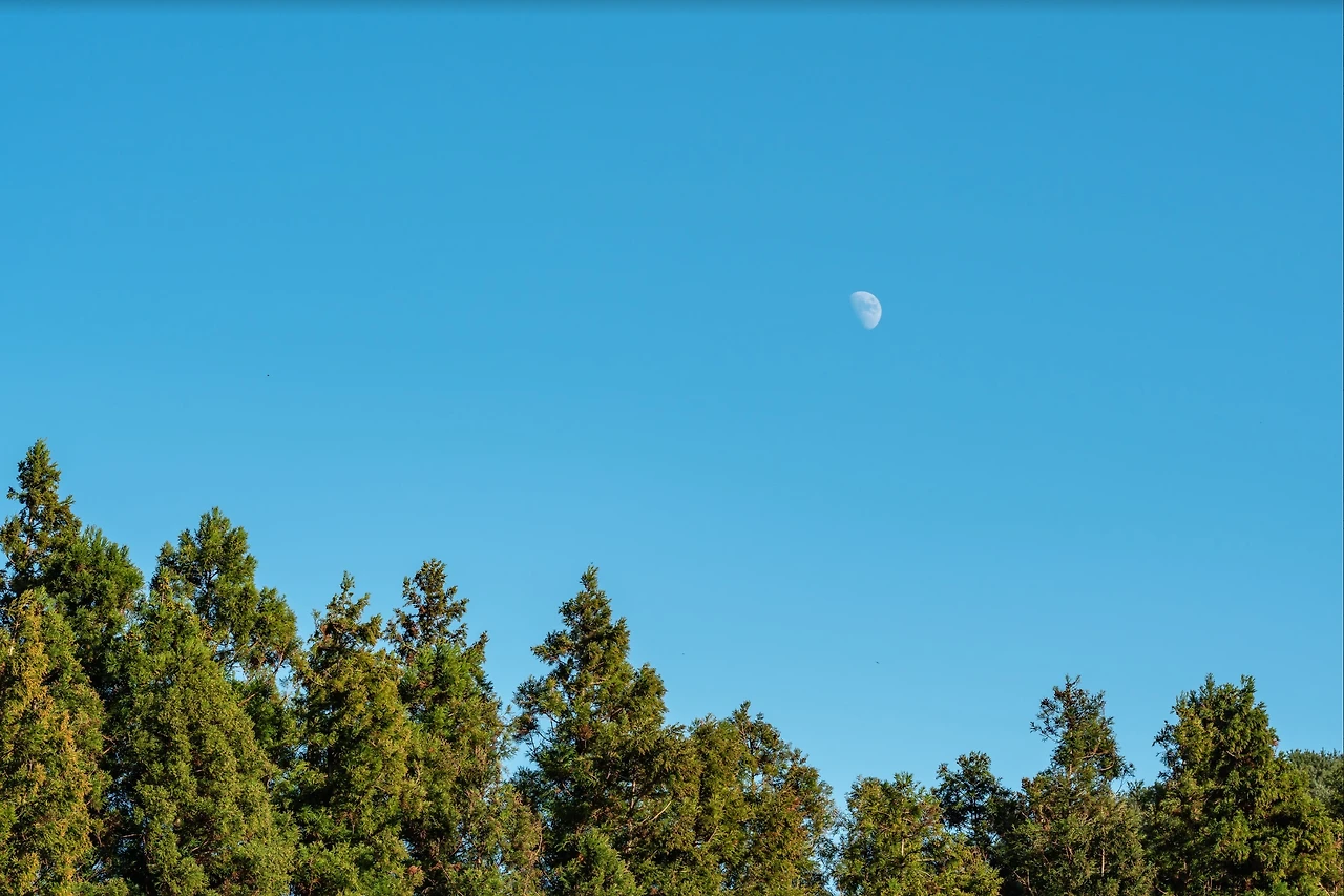 Screenshot 2022-10-28 at 13.49.26.JPG