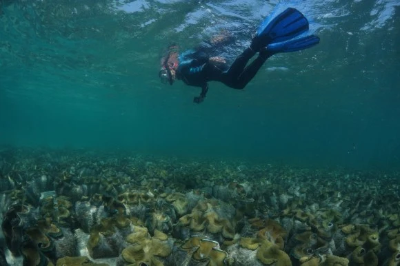 DSC02926-Large.jpg?w=580&amp;ssl=1