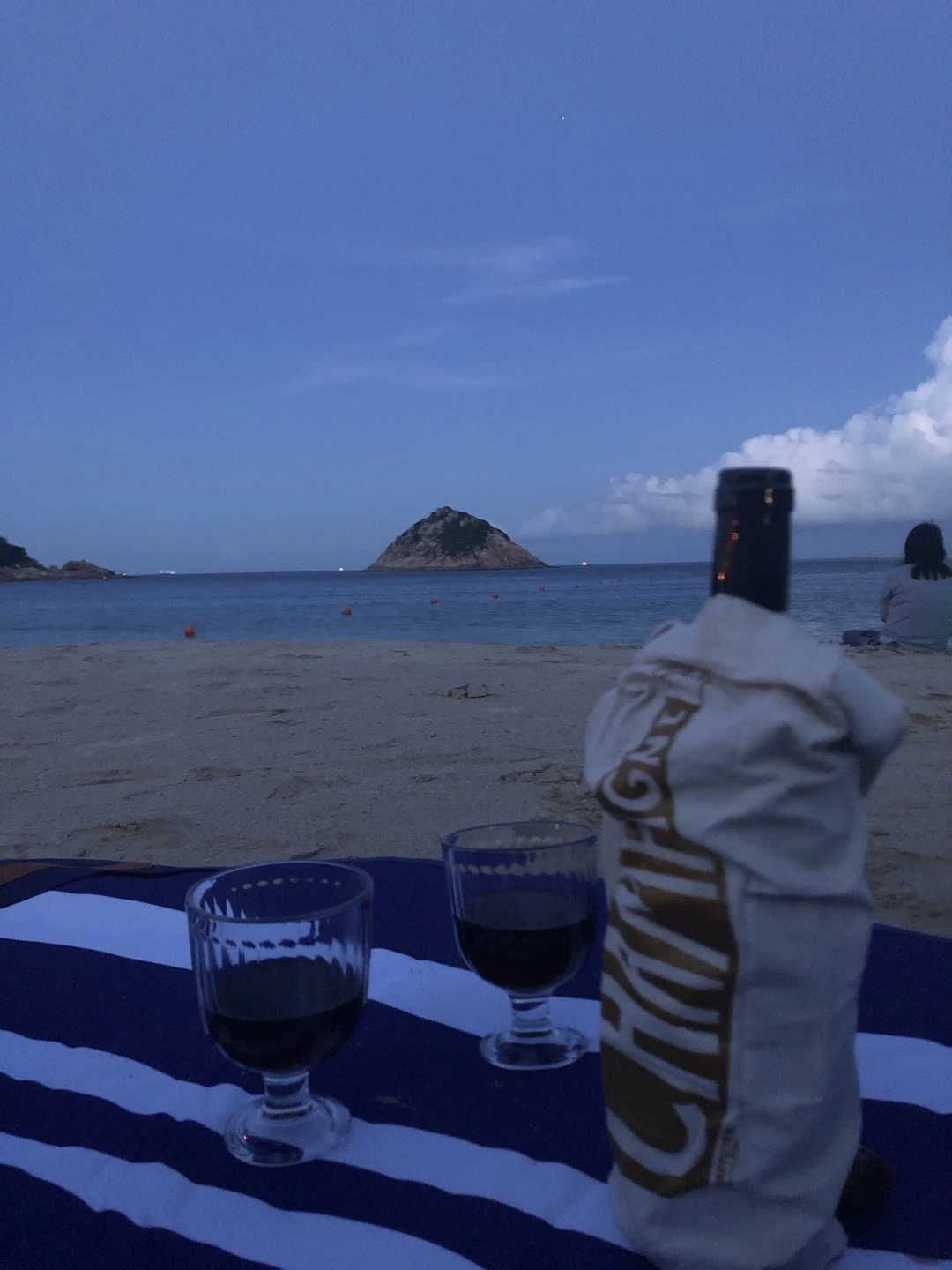 쉑오 피크닉.jpeg