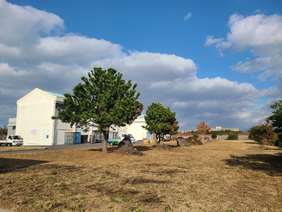 temp%EF%BC%BF1725594268194.1309213495.jpeg?type=w966