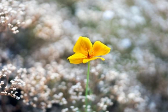 photo-1629084180253-8cdd577aa8c1.jpg?type=w580