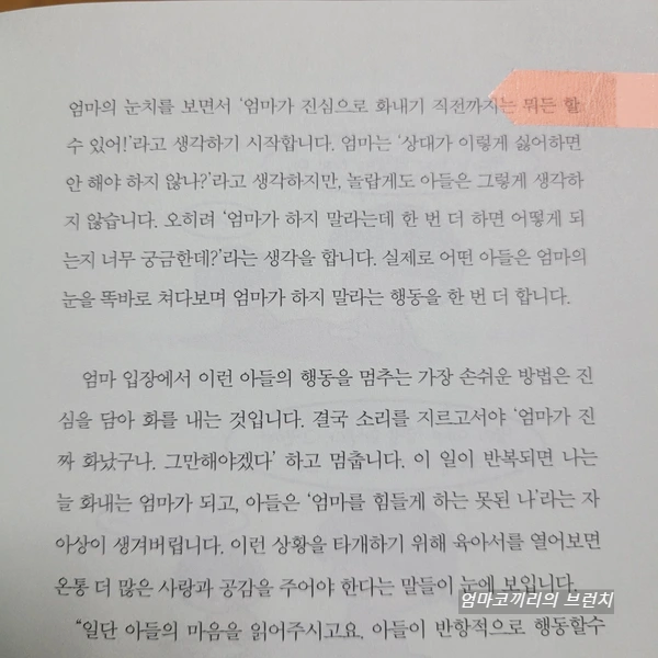 SE-10e202a9-8aae-4a12-ad52-4a884d5dfbdb.jpg?type=w1