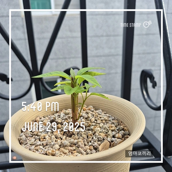 SE-00023750-2ea9-4ca1-8ac8-77130f8b11c8.jpg?type=w1