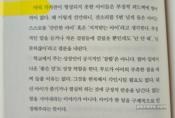 SE-f24559a7-29c2-11ef-8b9f-09321269ab96.jpg?type=w1