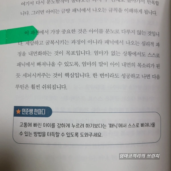 SE-23e3f847-8134-4644-825c-caf97a8b284a.jpg?type=w1