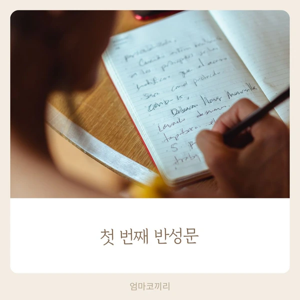 SE-d9df66da-8b6e-43cd-b870-d0fee078132e.jpg?type=w1