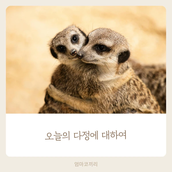 SE-95e2ddd5-6c97-4b22-9bbb-345a73e8228b.png?type=w1