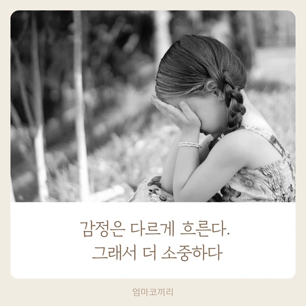 SE-48a5fd4d-19c2-455a-b070-28f495fea12e.png?type=w1