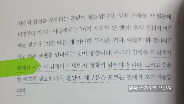 SE-0e5ad6bb-aead-44ea-a61f-b48df86daec0.jpg?type=w1