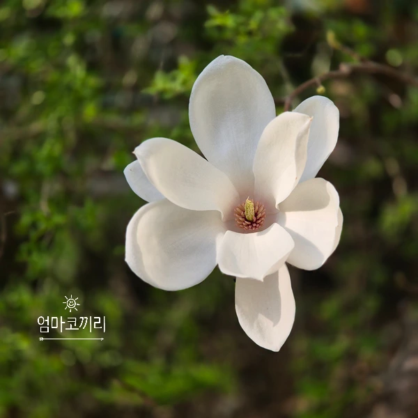 SE-e3d496a4-f247-407a-82df-32ee34768a6f.jpg?type=w1