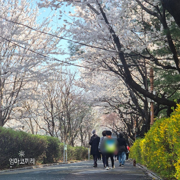 SE-38920af4-f646-4ba0-86a8-cace8837d33b.jpg?type=w1