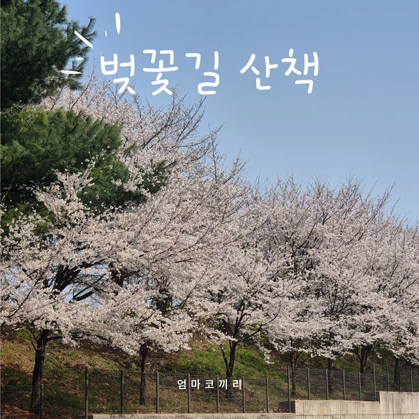 SE-c19475ed-dc01-439d-b121-a2208929e008.png?type=w1