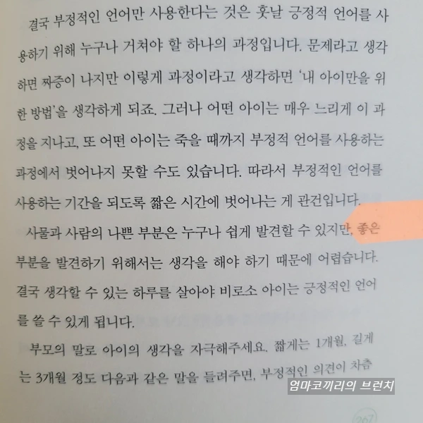 SE-c828be43-e356-11ee-857c-bf4e465941d1.jpg?type=w1