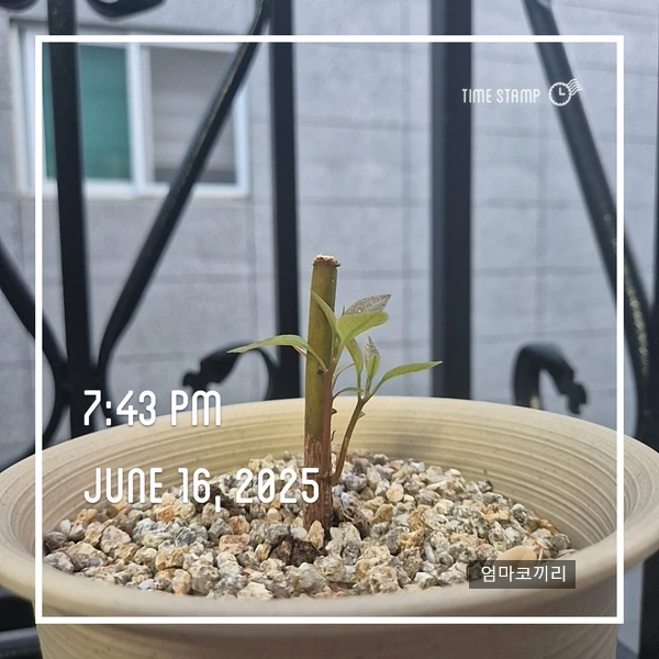 SE-a27b534f-05fc-4c11-8b70-38ea78f90d22.jpg?type=w1