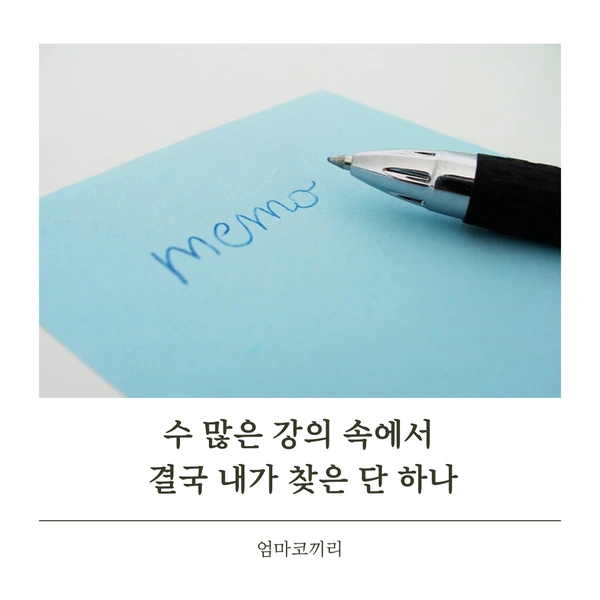 SE-72a6c5b6-dc79-4a45-9274-e3e34f36023f.png?type=w1