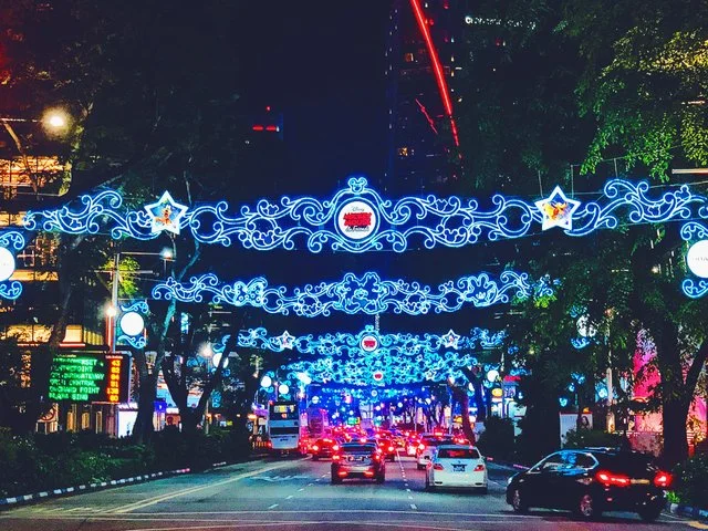 steemit.com life     @dominickoesno      disney-s-magical-moments-on-orchard-road-singapore-christmas-2018.jfif