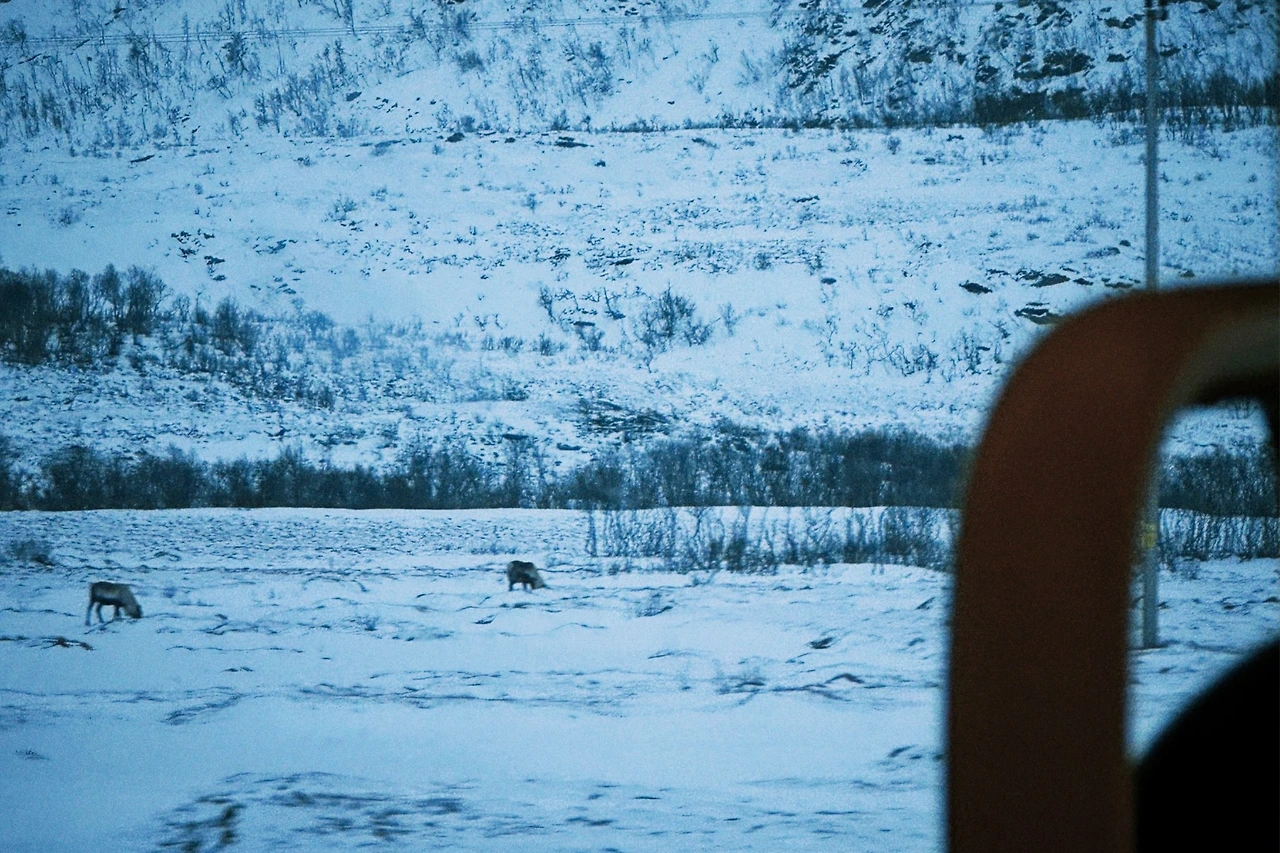 dqs 2025-04-28 113649.176.JPG