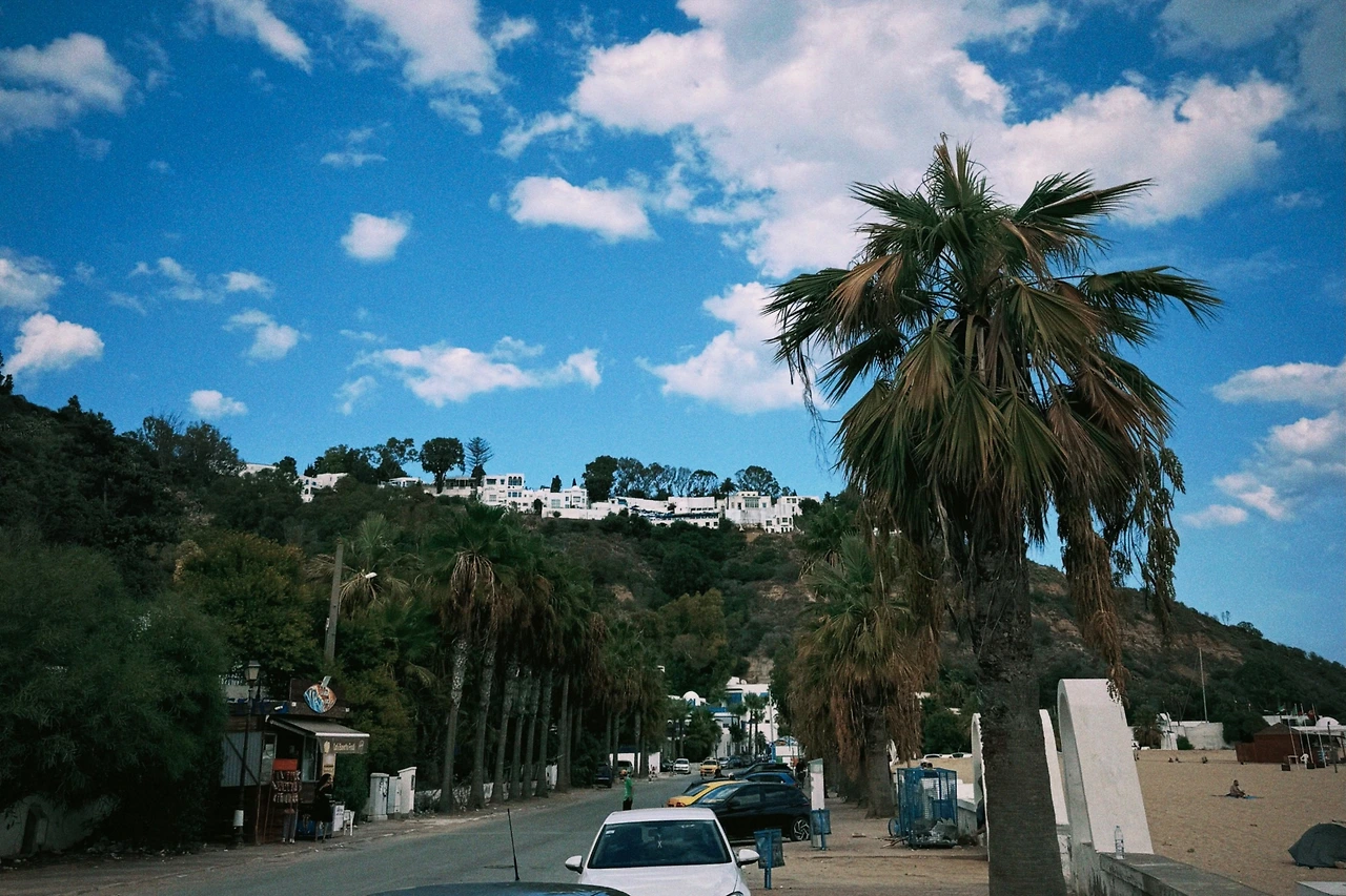 dqs 2025-02-26 111512.117.JPG