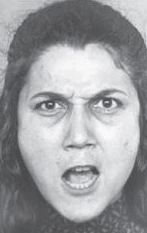 algo2-4.PNG?type=w773