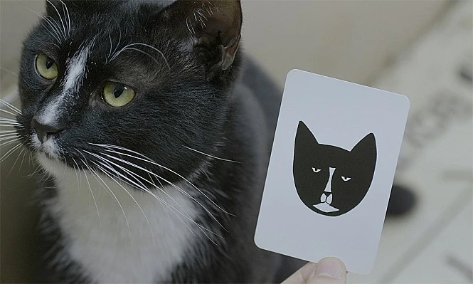 movie_image_(11).jpg?type=w1