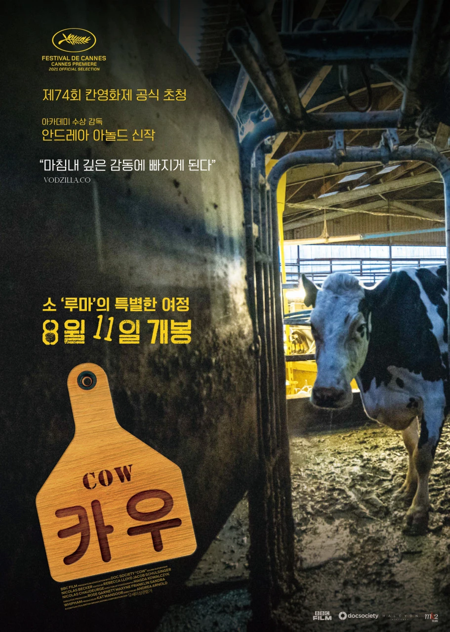 카우 포스터.jpeg