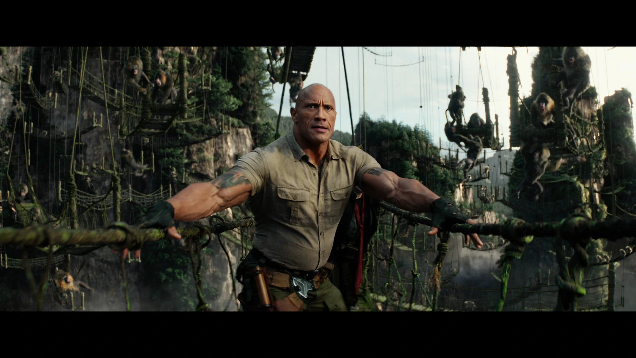 dfd756600c8744969dcd200065663d081574992697300