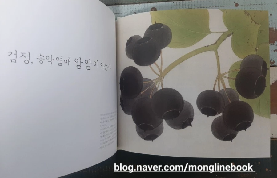 1612079951223.jpg?type=w1